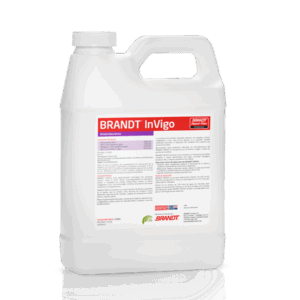 BRANDT InVigo®